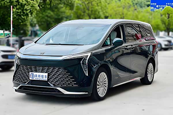 上海租賃商務(wù)車可以嗎?上海租商務(wù)車多少錢一天?