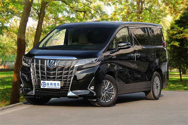 Toyota Elfa